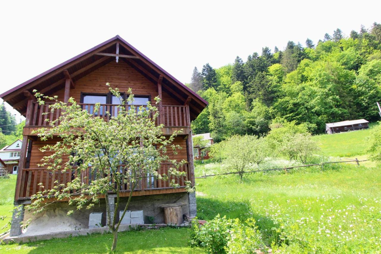 Котедж "Карпатський Краєвид" Yaremtche Extérieur photo